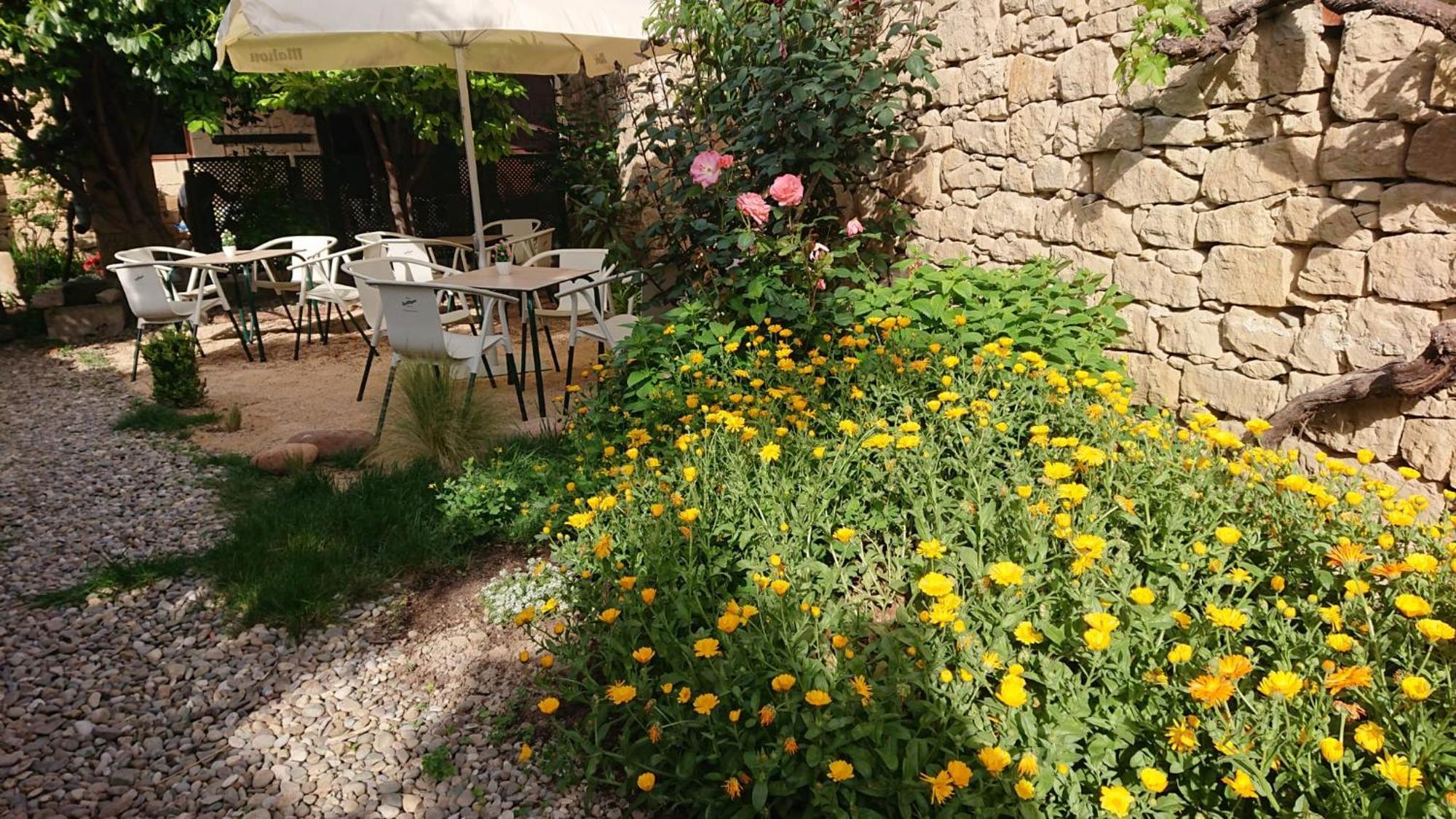 Albergue Sansol - El Oasis Del Camino Frances Extérieur photo